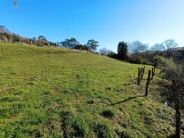 FINCA RUSTICA-AGRARIA EN FRESNEDO photo 0