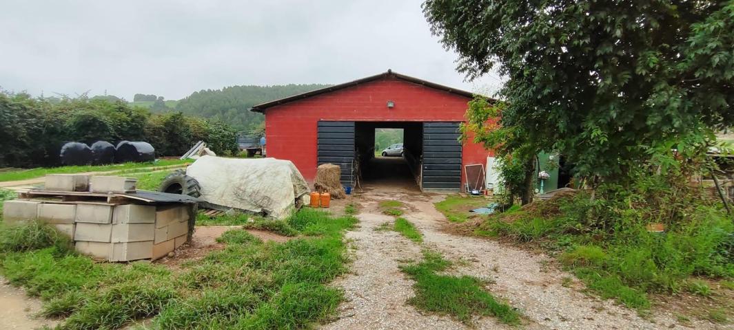 NAVE DE 250M2 EN FINCA DE 5.885 M2.- photo 0