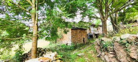 ALDEA TRADICIONAL PASIEGA EN VEGA DE PAS.- photo 0