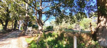 TERRENO EDIFICABLE EN UN ENTORNO NATURAL PRIVILEGIADO.- photo 0