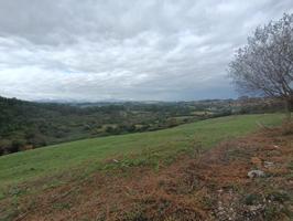 MÁS DE 5 Ha. DE NATURALEZA EN RUILOBA.- photo 0