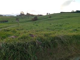AMPLIO TERRENO RÚSTICO EN RUMOROSO A MENOS DE 200 METROS DEL NÚCLEO URBANO.- photo 0