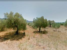 Finca de secano en partida Bassa de Coll de Ulldecona (Tarragona) de 6.920 m2. Con orografía plana y muy buen acceso. photo 0