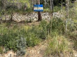 GRAN TERRENO EN VENTA EN LA ZONA DE VORA SITGES, (CANYELLES) photo 0