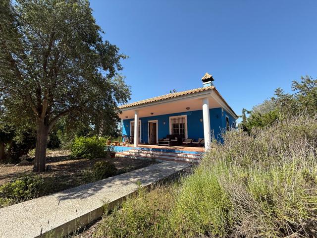 OFH-274 VALLE DEL SOL BLUE photo 0