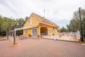 PARCELA DE 8.000 m2+CHALET photo 0
