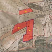Terreno en Jumilla photo 0