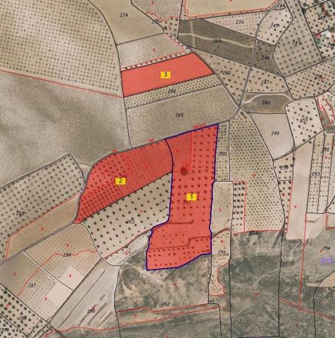 Terreno en Jumilla photo 0