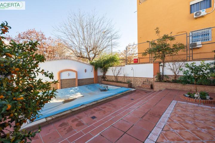 ¡¡¡ Maravillosa casa independiente con jardin y piscina en zona Alminares!!! photo 0