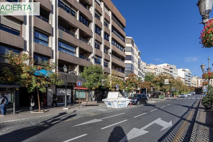 Piso céntrico en Granada, Acera del Darro. photo 0