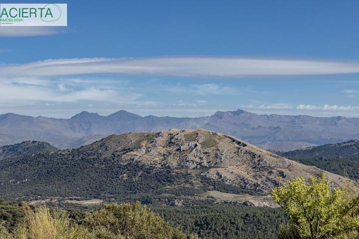 Tu Refugio en La Sierra de Granada photo 0