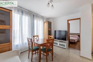 APARTAMENTO EN EL BARRIO DE MONACHIL photo 0