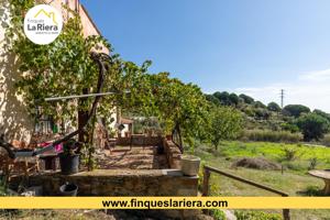 MASIA EN FINCA RUSTICA MUY CERCANA A LA POBLACION photo 0