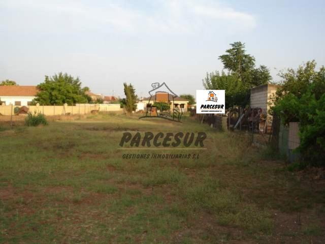 Parcela de Terreno con Pozo photo 0