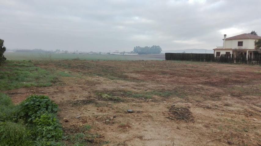 Parcela de terreno de 3.000 m2 con escrituras independientes del terreno y vallada. photo 0