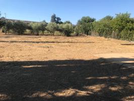 Parcela de terreno de 2700 m2 por la Barquera con fosa séptica y vallada photo 0