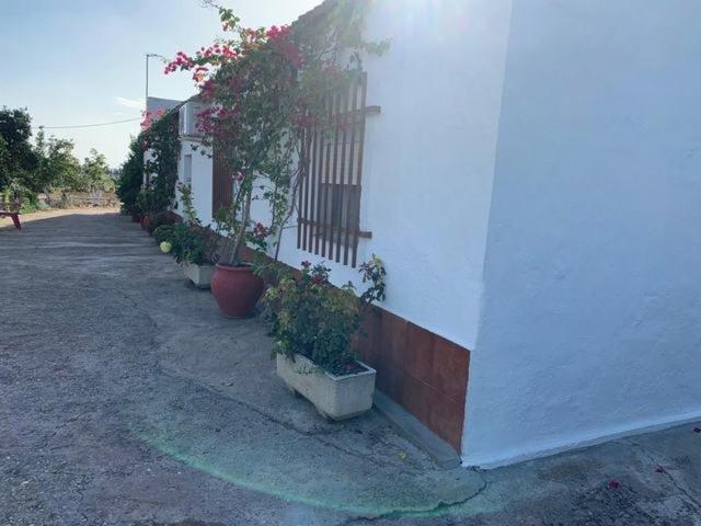 ZONA CORTIJO DEL RUBIO - Parcela de 6.000 m, casa de 200 m2 y nave de 500 m2 photo 0