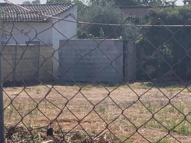 ZONA MAJANEQUE- Parcela de terreno de 1.000 m2 con pozo y punto de luz. photo 0