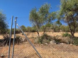 ZONA CHARCO ROTO - Parcela de terreno de 1500 m2 con punto de luz y agua comunitaria photo 0