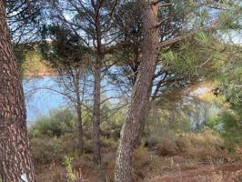 ZONA LAS JARAS. Parcela de terreno de 1154 m2 con punto de luz. photo 0