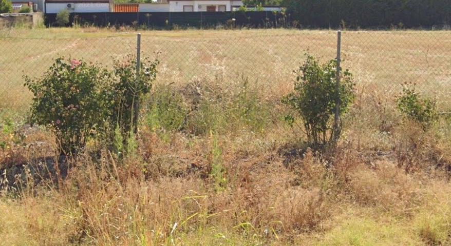 ZONA LA BARQUERA - Parcela de terreno de 1250 m2 con pozo photo 0