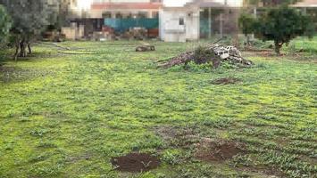 ZONA ROSAL DEL RUBIO -Parcela de terreno de 750 m2 con un cuartillo. y un pozo con abundante agua. photo 0