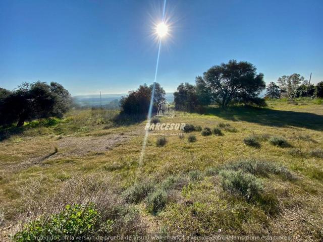 ESPECTACULAR TERRENO EN CASILLAS DEL AIRE!!!! photo 0