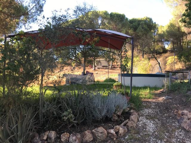 ZONA TORRE HORIA-TRASSIERRA -Parcela de terreno con pozo comunitario, piscina y remolque tienda. photo 0