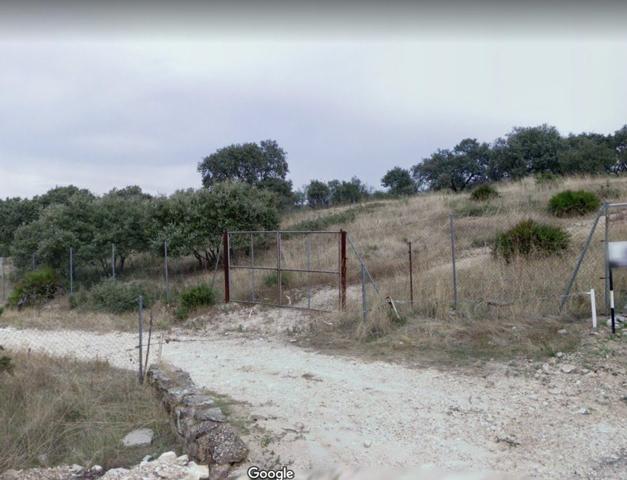 ZONA CIGARRA - Parcela de 6.000m2 aprox., con posibilidad de agua comunitaria y luz. photo 0