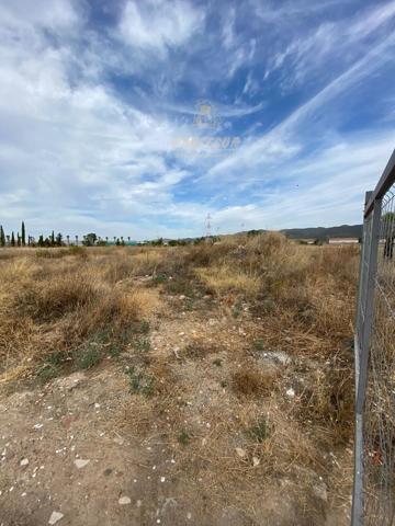 ZONA LA BARQUERA - Parcela de 16.000 m2 con escrituras, con posibilidad de dividir en 2. photo 0