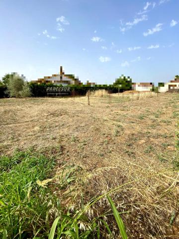 ZONA ALAMILLO - Villarrubia . Parcela de terreno de 1.250 m2 con agua de comunidad photo 0
