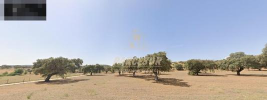 ZONA BELMEZ- Se vende finca agrícola de 39.000 m en total. photo 0