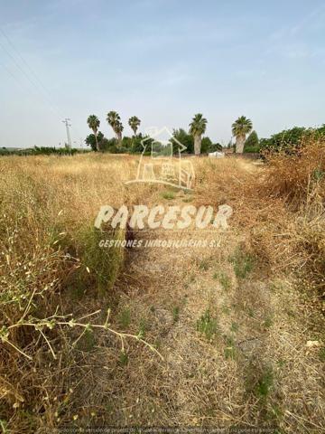 MAJANEQUE - Estupendo precio!! Parcela de 1.250m para inversión, recreo, huerto. photo 0