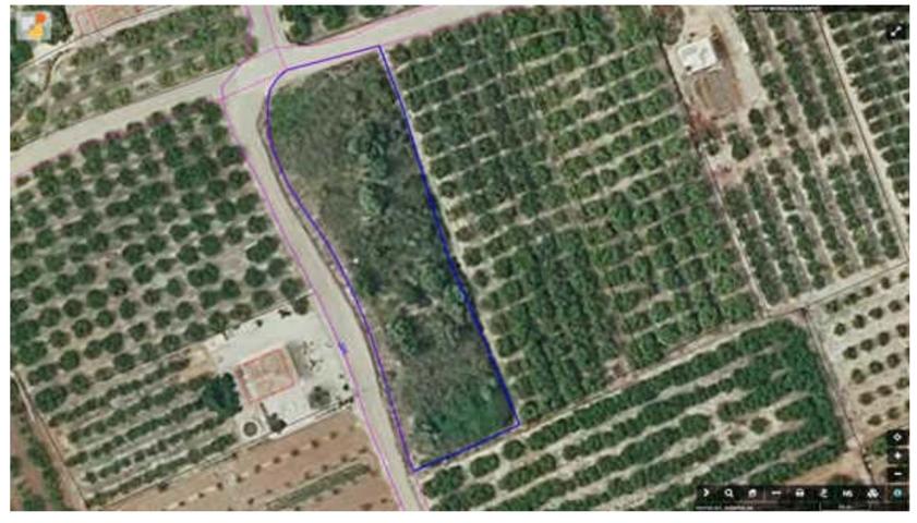 Terreno Urbanizable En venta en Avenida Polígono 4 Parcela 106, 18, Sanet Y Negrals photo 0