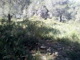 Terreno urbano en Can Gordey - La Bisbal del Penedés photo 0