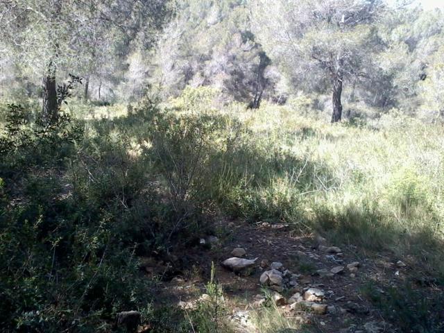 Terreno urbano en Can Gordey - La Bisbal del Penedés photo 0