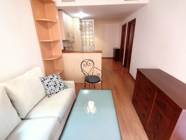 APARTAMENTO PARQUE SAN FERNANDO photo 0