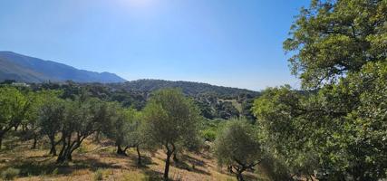 Terreno Urbanizable En venta en Lugar Celima, Casares, Casares photo 0