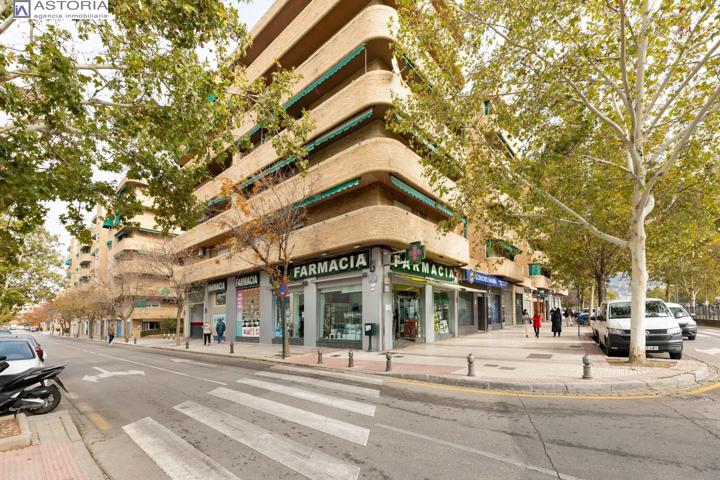 PARQUE DEL GENIL photo 0