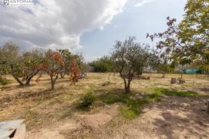 🏡 Encantadora Parcela Rústica con Casa y Pozo en Caserío de Fonseca photo 0