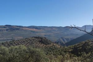 CORTIJO DE LA MORA EN LOJA photo 0