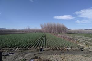 TENEMOS LA FINCA QUE BUSCAS. photo 0