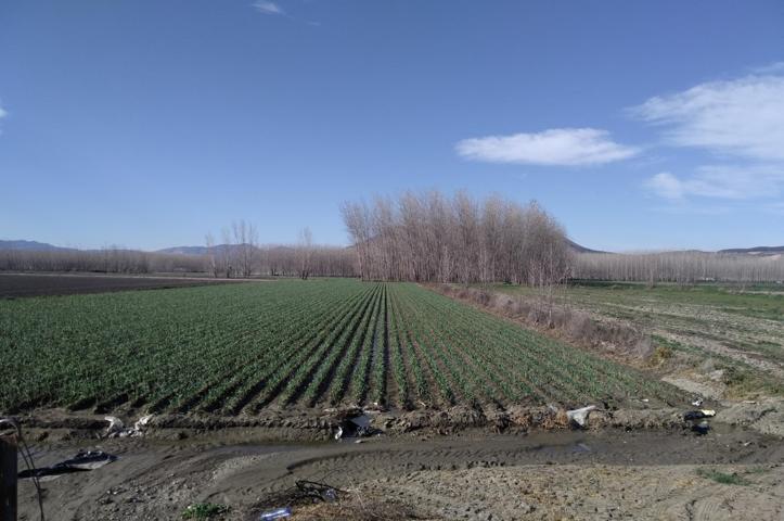 TENEMOS LA FINCA QUE BUSCAS. photo 0