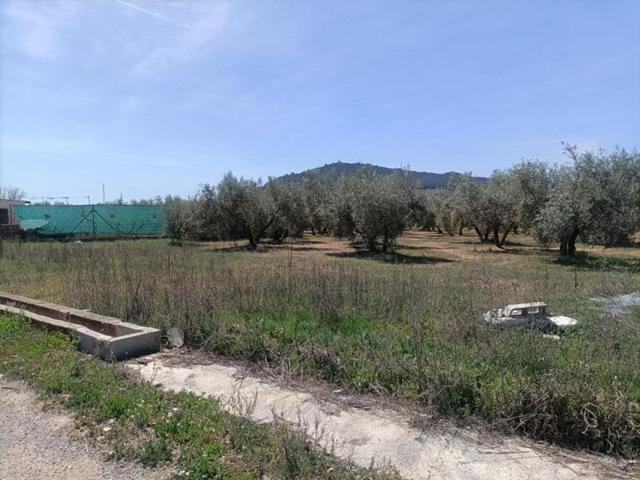 Finca rústica en venta photo 0