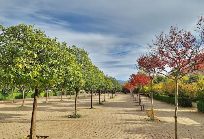 PISO DE ZAIDIN (GRANADA) photo 0