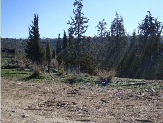 TERRENO URBANIZABLE A LA VENTA EN ATARFE-CAPARACENA (GRANADA) photo 0