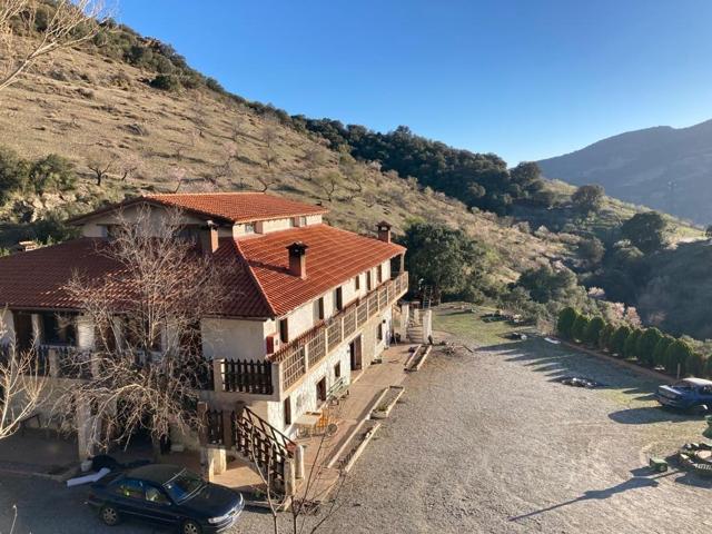 TERRENO RUSTICO A LA VENTA EN TORVIZCON (GRANADA) photo 0