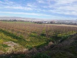 TERRENO RUSTICO A LA VENTA EN LA ZUBIA (GRANADA) photo 0
