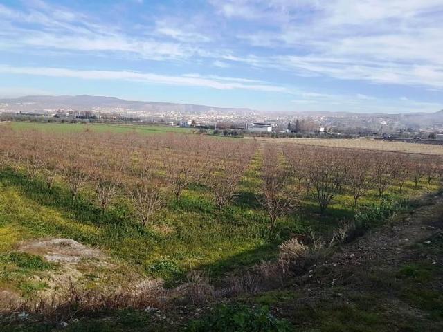 TERRENO RUSTICO A LA VENTA EN LA ZUBIA (GRANADA) photo 0