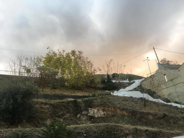 TERRENO URBANO A LA VENTA EN LOJA (GRANADA) photo 0